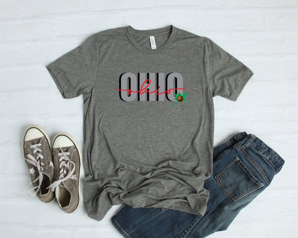 Ohio Buckeye Tee - Mistakes on the Lake