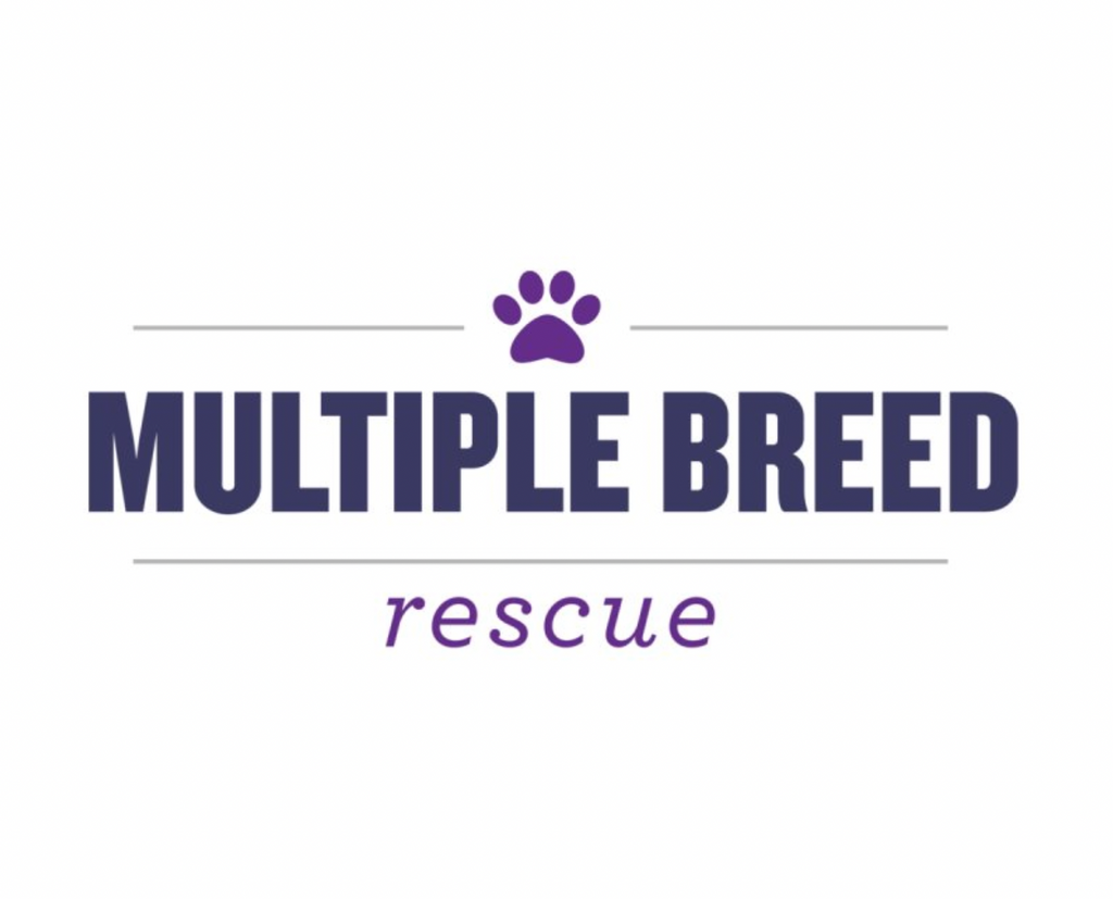 Ohio is for The Dogs Tee - Mistakes on the Lake