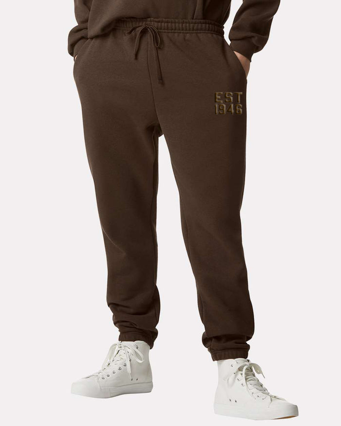 3D Puff EST - Brown Unisex Joggers - Mistakes on the Lake