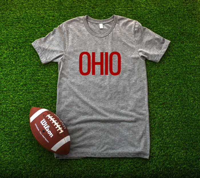 Block Ohio Tee - RED AND GREY - Mistakes on the Lake